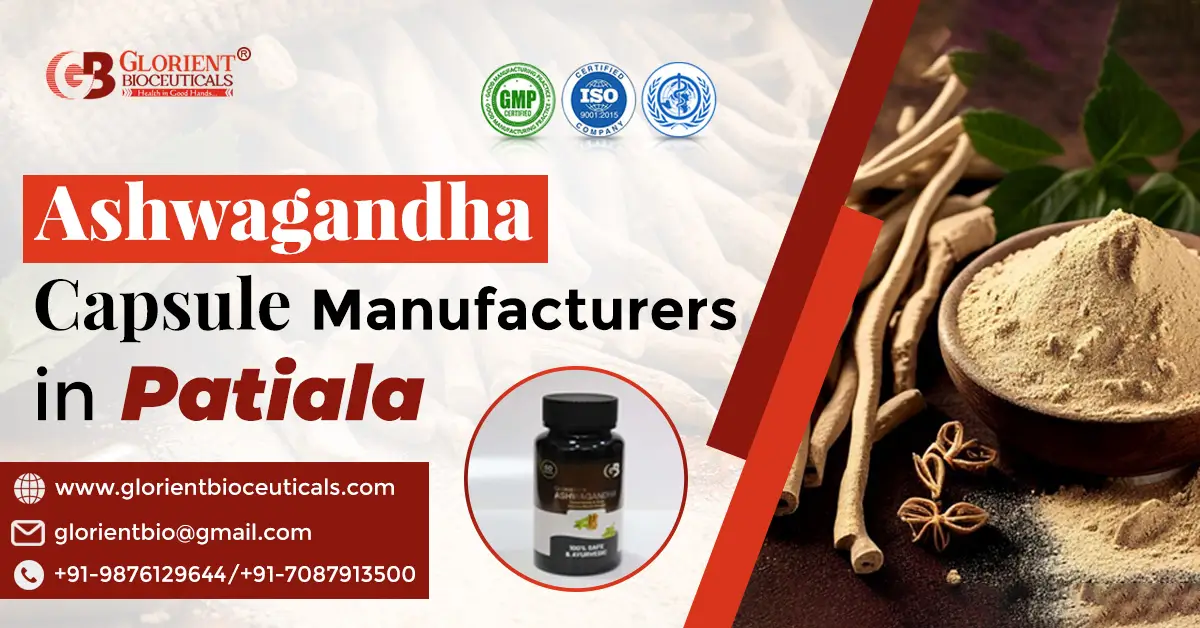 Ashwagandha Manufacturing Company in Patiala